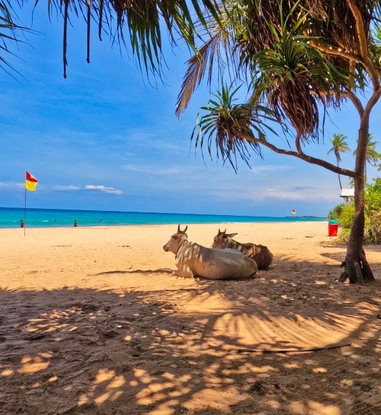 Exploring Nilaveli: A Serene Beach Paradise in Sri Lanka