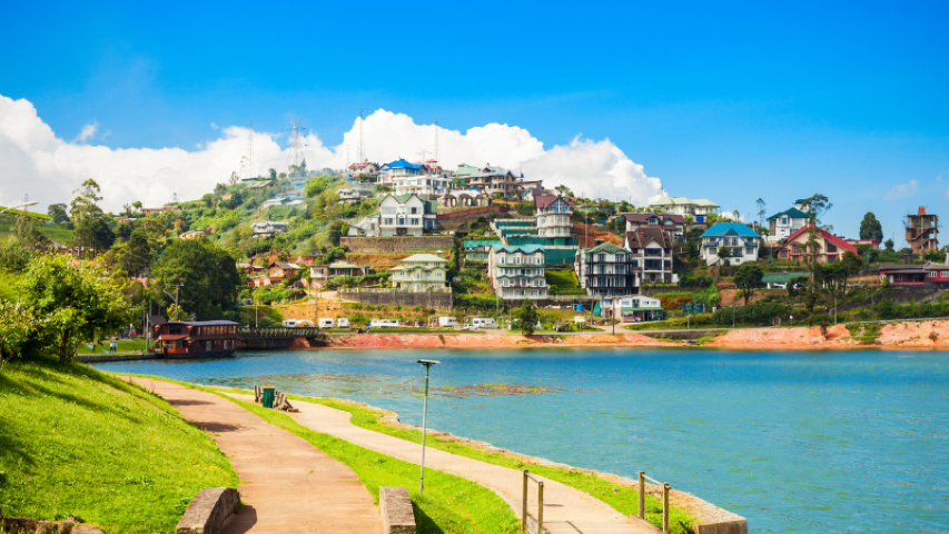 Car Rental Services