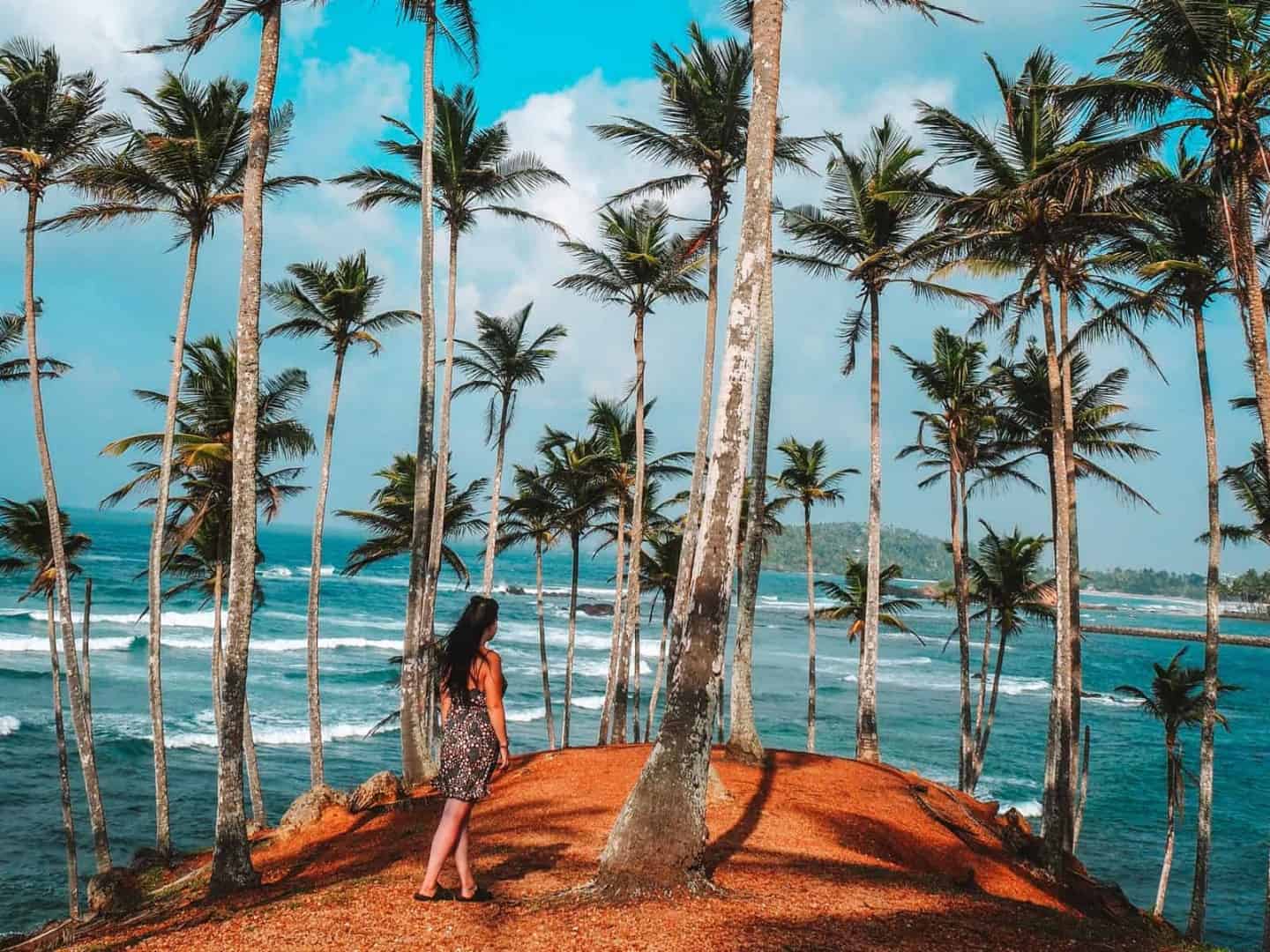 A Spot for Whales and Waves